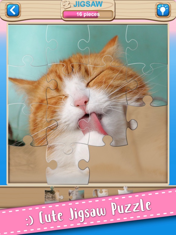 Cute Kitten Cat Jigsaw Puzzle on iPad — screenshot 1