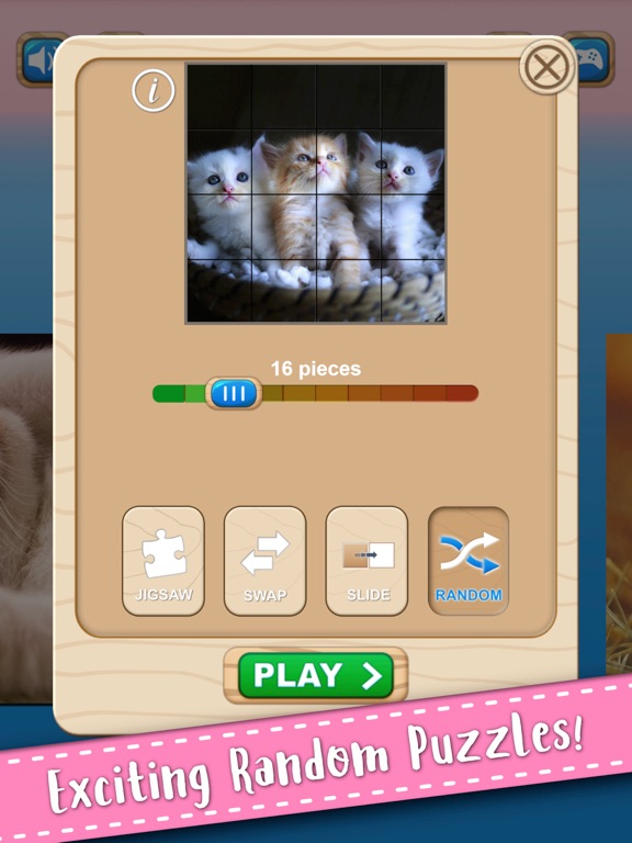 Cute Kitten Cat Jigsaw Puzzle on iPad — screenshot 10