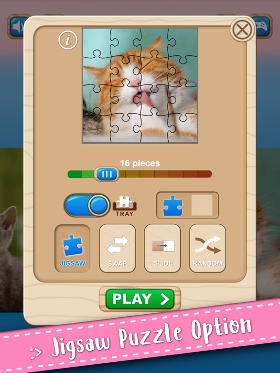 Cute Kitten Cat Jigsaw Puzzle on iPad — screenshot 2