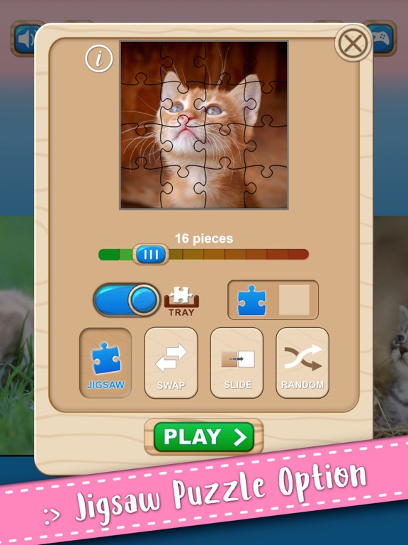 Cute Kitten Cat Jigsaw Puzzle on iPad — screenshot 4