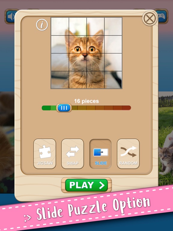 Cute Kitten Cat Jigsaw Puzzle on iPad — screenshot 8