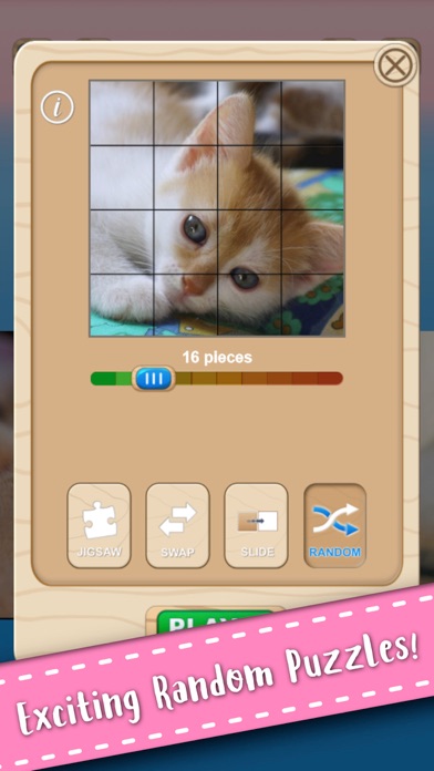 Cute Kitten Cat Jigsaw Puzzle on iPhone — screenshot 10
