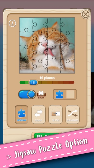 Cute Kitten Cat Jigsaw Puzzle on iPhone — screenshot 2