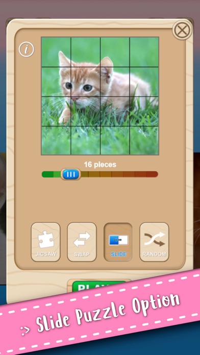 Cute Kitten Cat Jigsaw Puzzle on iPhone — screenshot 8